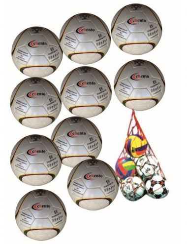 Fußballpaket (10 Stück+ Ballnetz) LISARO Matchball - 1