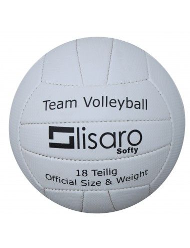 Lisaro Volleyball - 4