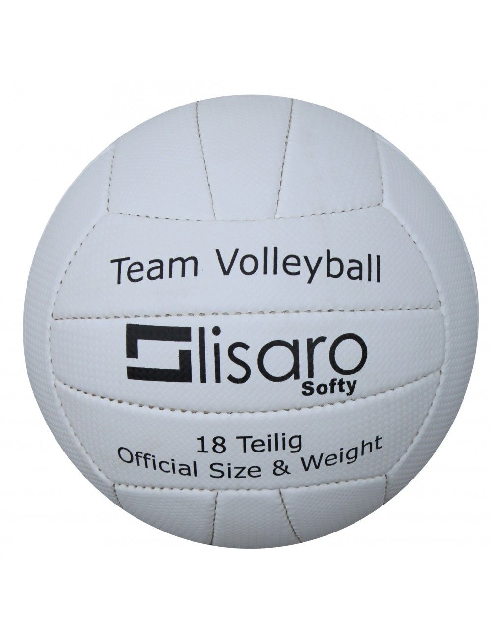 Lisaro Volleyball - 4