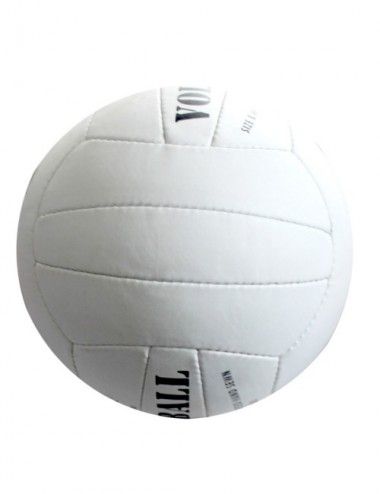 Lisaro Volleyball - 3