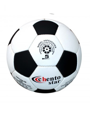 Ballpaket Lisaro EURO/Trainings- und Wettspielbälle - 1